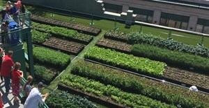 Green roofs improve the urban environment - so why don't all buildings have them?