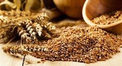 Global food prices held steady in September - FAO Food Price Index