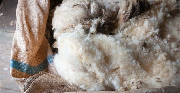 Wool market increases after slight decline