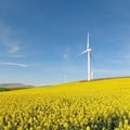 Klipheuwel Wind Farm