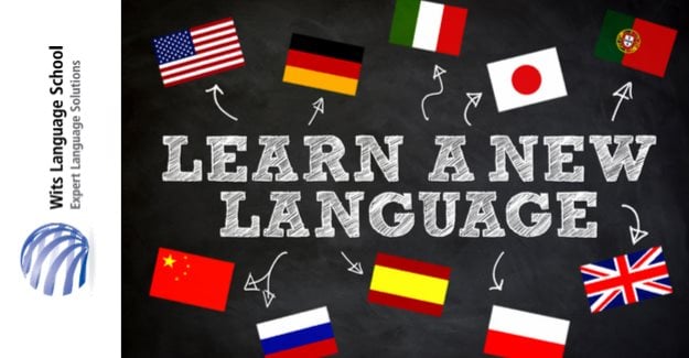 Recipes for successful language learning