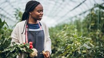 Women in agriculture: Unsung heroes around the globe