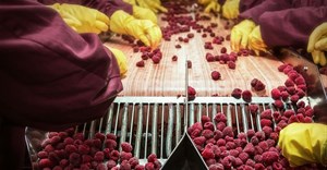 How food manufacturers can ensure waste products are disposed of responsibly