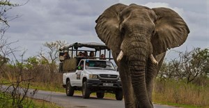 Plan your summer trip to Zululand with top tips from a local