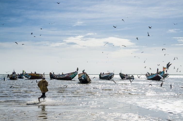 Fishing boats in Senegal. Fabian Plock/Shutterstock