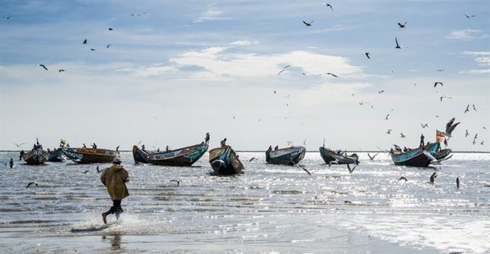 EU targets fragile West African fish stocks, despite protection laws