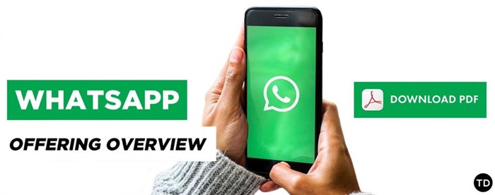 Want to make waves with WhatsApp marketing?