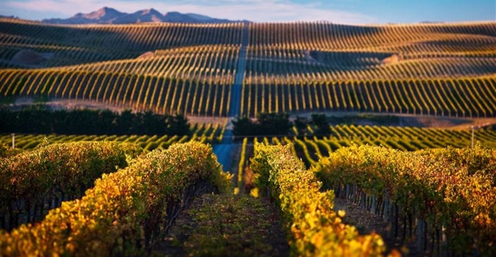 SA winemakers look to other parts of the world for inspiration