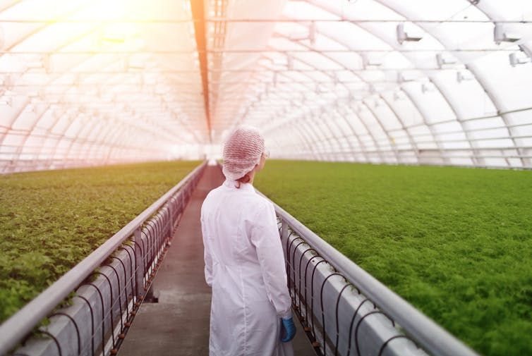 Synthetic biology can help agriculture adapt to a changing world. Shutterstock