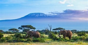 Tanzania, a leader in Africa's business tourism events