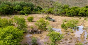 5 suspected poachers arrested in Kruger National Park