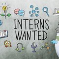 5 reasons hiring an intern can help your business