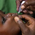 A Nigerian child receives a dose of the polio vaccine. EPA