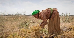 Can African smallholders farm themselves out of poverty?