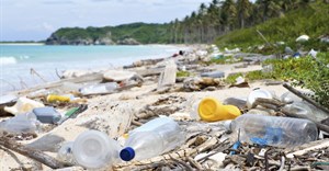 How beach pollution harms marine life