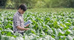 Three ways farms of the future can feed the planet and heal it too