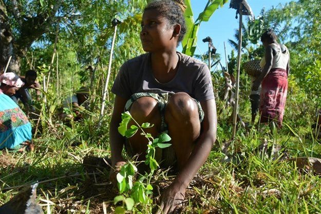 A young woman participates in reforestation efforts in Kianjavato, Madagascar. Brittani Robertson/Madagascar Biodiversity Partnership,