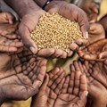 WFP forecasts global hunger hotspots in 2020