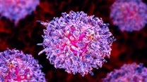 A leukemia cell. Kateryna Kon/ Shutterstock