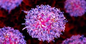 A leukemia cell. Kateryna Kon/ Shutterstock