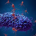 Bacteriophages infecting a bacterial cell.
Design_Cells/ Shutterstock