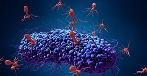 Bacteriophages infecting a bacterial cell.
Design_Cells/ Shutterstock