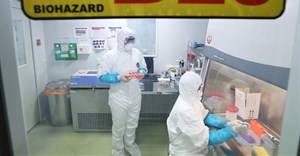 Researchers examine materials collected from a Chinese woman to find the cause of her mysterious pneumonia symptoms, at Korea Centers for Disease Control and Prevention, South Korea, 09 January 2020.