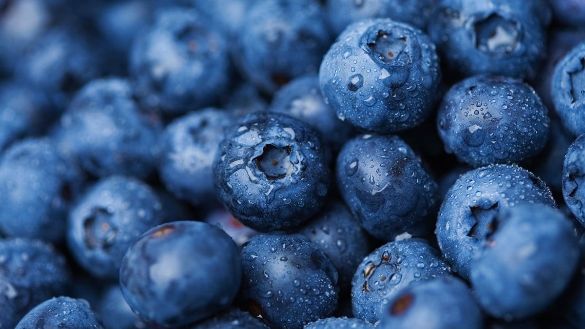 Is blueberry markets regulated