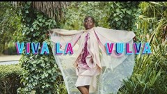 Image source: Viva La Vulva ad on .