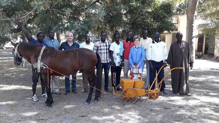 The inter-sector team involved in the development of the ‘yookoutef’ seeder, which enables the planting and spreading of biofertilizer. Author provided