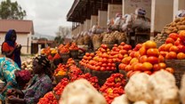 Nigeria needs to close the financial inclusion gap for women smallholder farmers