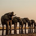 Botswana's 'Okavango' picks up 5 New York Cinematography Awards
