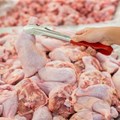 New report: Insights into Africa's chicken meat market
