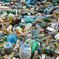 Study reveals 'hidden plastic pollution footprint' of Coca-Cola, Nestlé, PepsiCo and Unilever