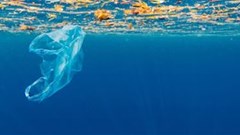 Plastic: Can't live without it, can reinvent it!