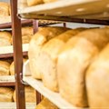 Covid-19: SU researchers turning bread into hand sanitiser