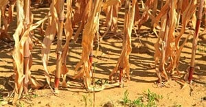 Climate change a risk to agricultural production