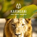 HKLM breathes life into Karingani - a visionary new brand in African conservation