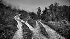 The shape of recovery - and why it may not be the right question to focus on