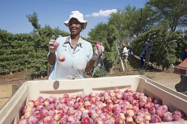 UIF reaches out to domestic workers, farm labourers