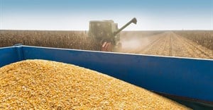 South Africa can expect bigger summer grains and oilseeds crop