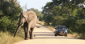 SANParks permits self-drive excursions for day visitors