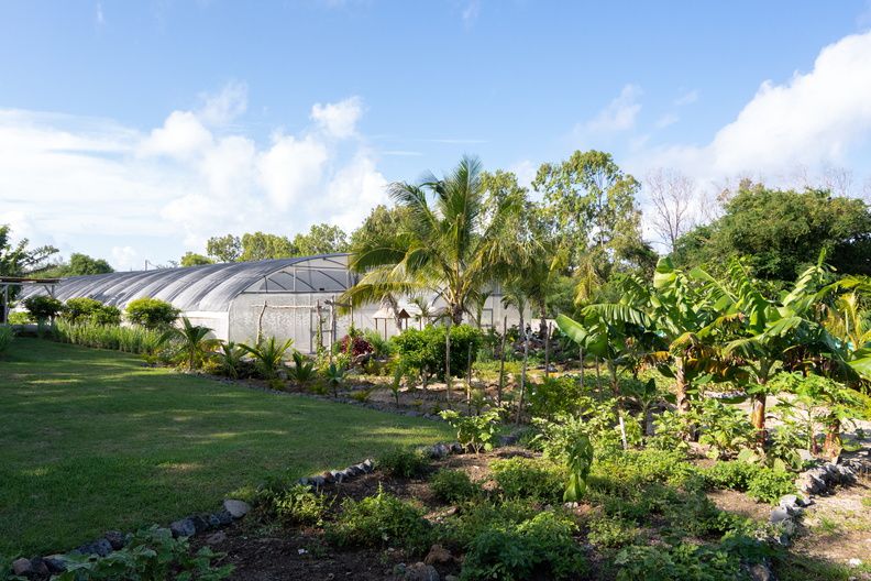 Put Mauritius top of your post-Covid-19 travel list: Touring the Aubergine Garden at LUX* Belle Mare