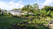 Put Mauritius top of your post-Covid-19 travel list: Touring the Aubergine Garden at LUX* Belle Mare