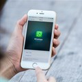 Cash Crusaders introduces WhatsApp service