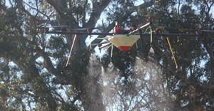 Karoo farmers take to the sky to curb the spread of invasive alien plants