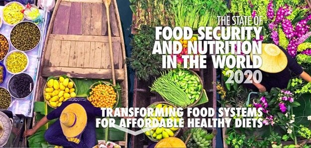 New UN report: Tens of millions more going hungry globally