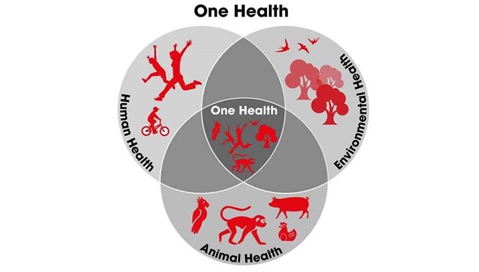 The One Health approach<p>Credit: Adapted from