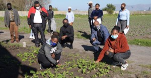 CoCT celebrates 33 urban farming graduates