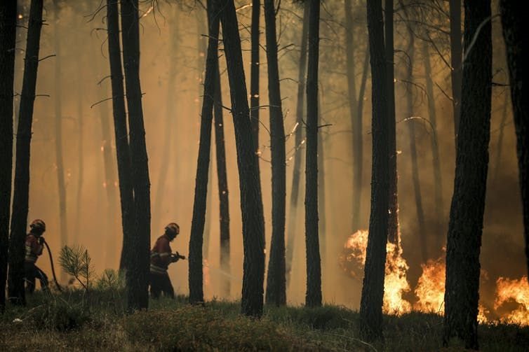 As the world warms, wildfires are becoming more frequent and severe.